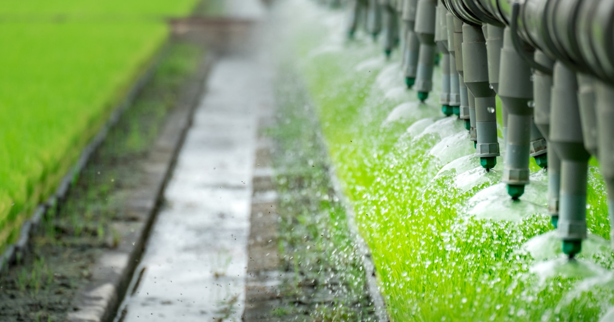 Agricultura convoca ayudas para innovación en el sector agrario