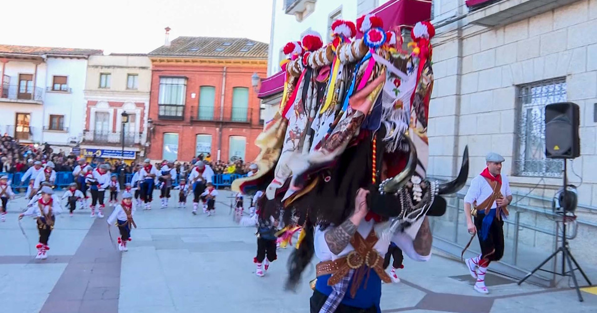 La Fiesta De La Vaquilla Vuelve Con Fuerza En Colmenar Viejo Para