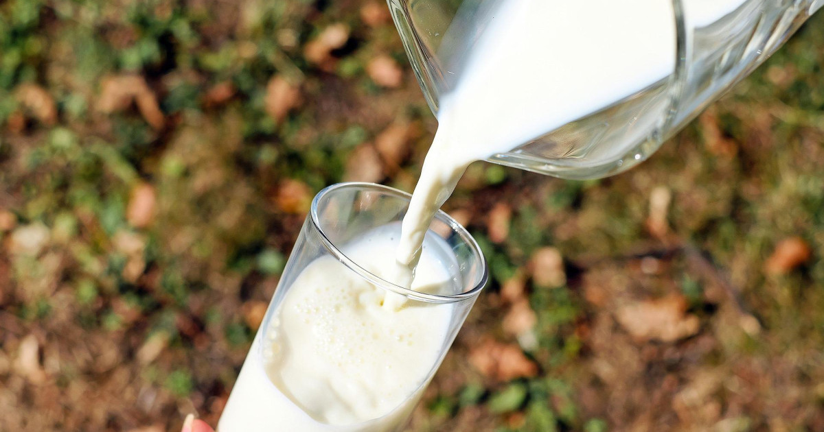 WHO recommends drinking only pasteurized milk to avoid infection with H5N1 avian influenza