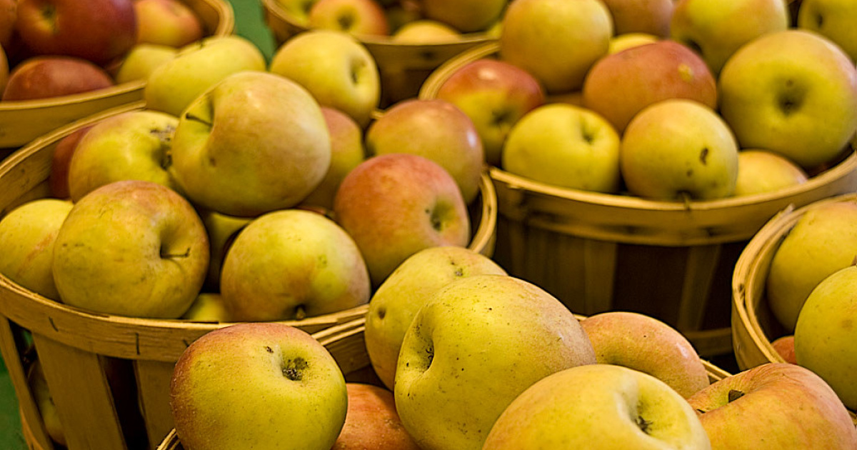 John apple. Яблочный Джон. Красивые фото яблоки ГРЕННИ Смит в корзинке. Apples are too big.