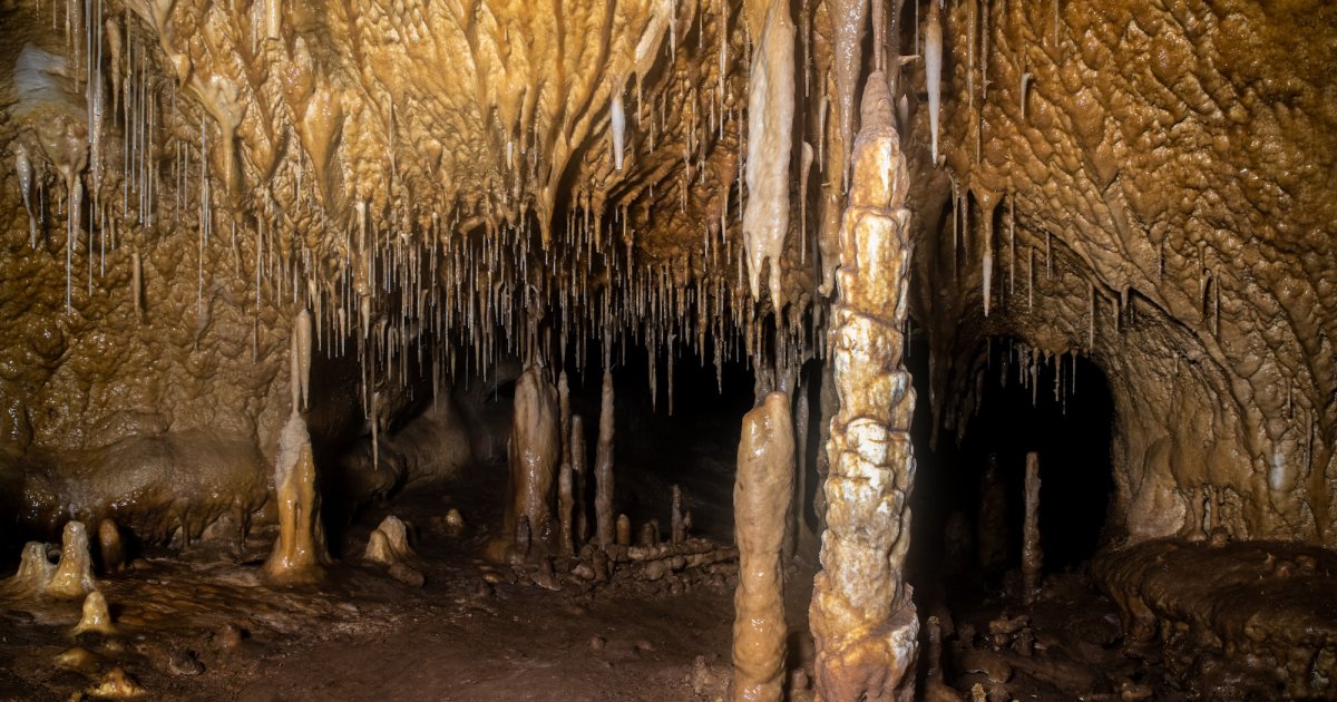 Sorprendente Hallazgo Arqueológico: La Cueva Del Arco En Murcia «abre ...