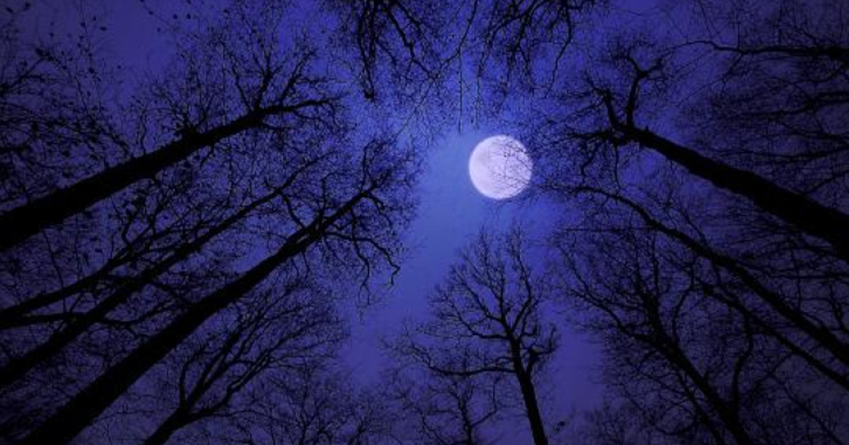 Luna llena de noviembre cuándo ver la Luna llena del Castor